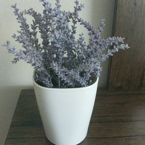 Handmade lavender plant